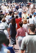 Crowd